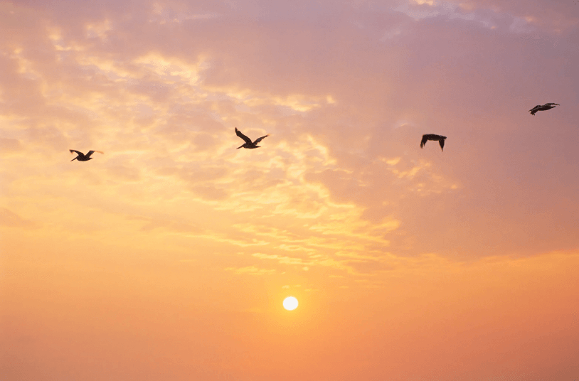 sunday self care routine