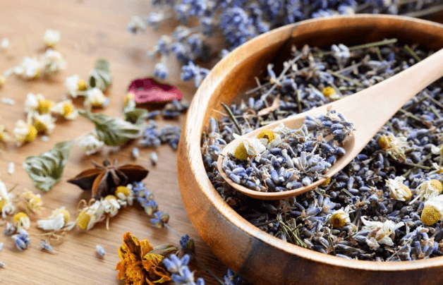 Antimicrobial Herbs for SIBO: Natural Solutions for Gut Health