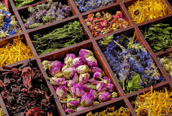 herbal teas
green tea
anxiety disorder
chamomile tea
anxiety symptoms
black tea
lavender tea
clinical trial
mental health
health benefits
amino acid
valerian root
systematic review
herbal remedies
white tea
peppermint tea
warm cup of tea
ginger tea
lemon balm tea
nervous system
postmenopausal women
calming effect
number of studies
camellia sinensis plant
herbal medicine
essential oils
herbal supplements
caffeine content