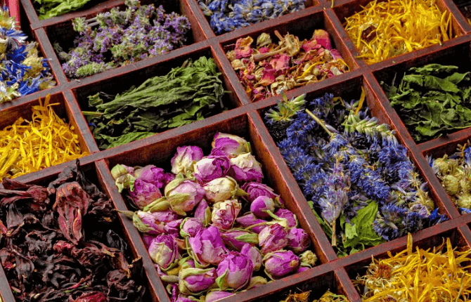 best herbal caffeeine free tea ideas to quick start your day

recipes, benefits, milk, herbal, boba, chai, green, sweet, list, bubble, energy, thai, chia, healthy, morning, hot
