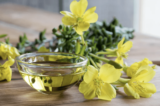 Benefits of Evening Primrose Oil