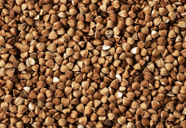 Benefits of Buckwheat Tea: The Toasty Drink That Surprised Me