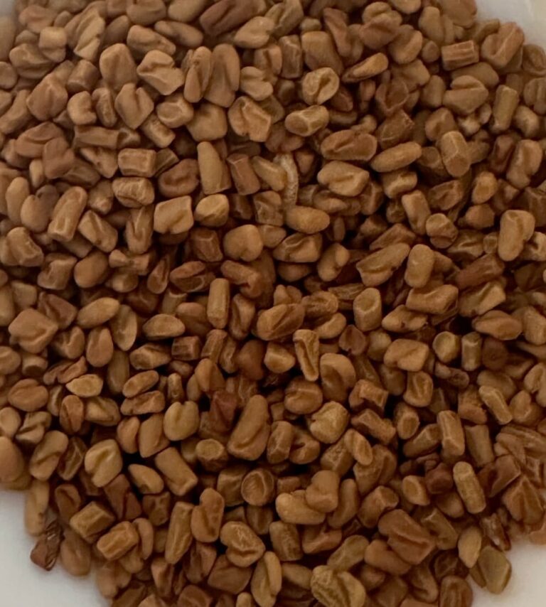 Fenugreek Benefits: The Golden Secret for Hair, Skin, and Health