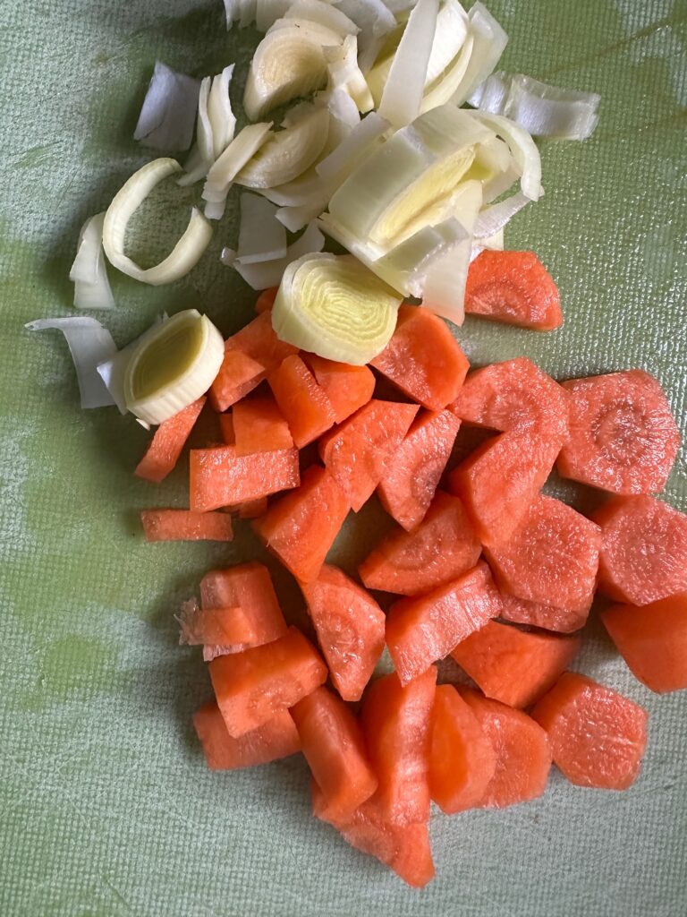 carrot and leek
